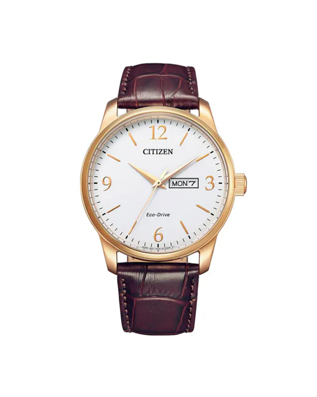 Eco-Drive Gullfarget Stål / Hvit 42mm  CI BM8553-16AE