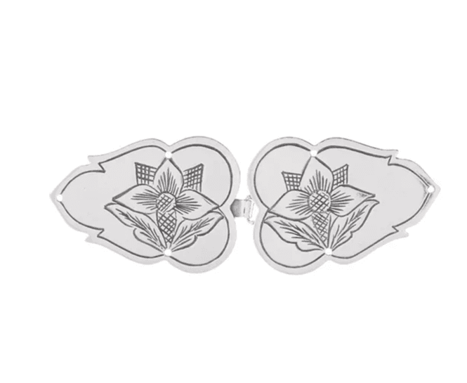 Hovedbilde Beltespenne Etne